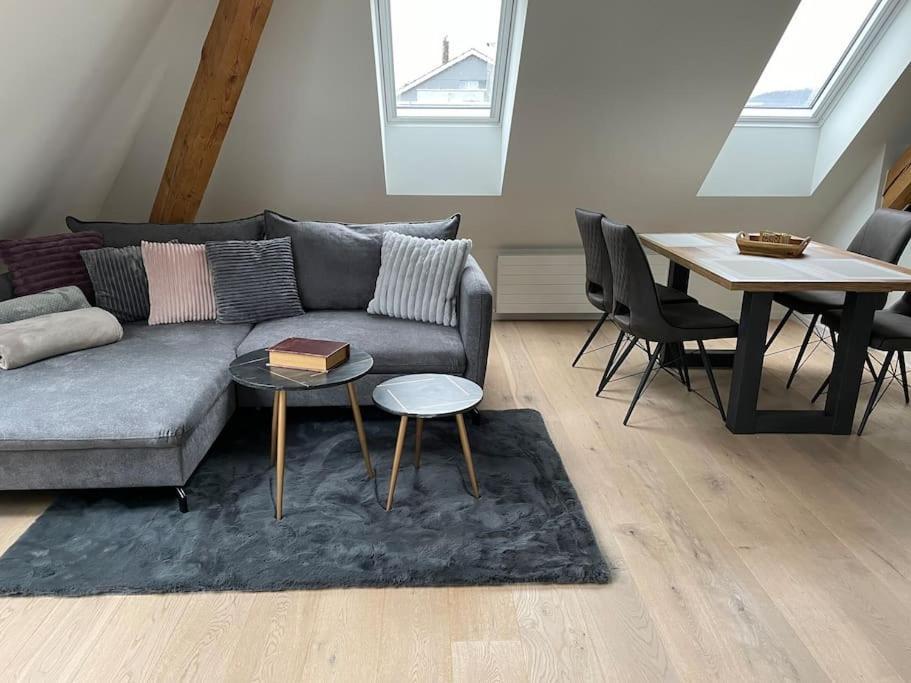Gemuetliche & Zentrale Wohnung In Der Stadt Zuerich Exteriér fotografie
